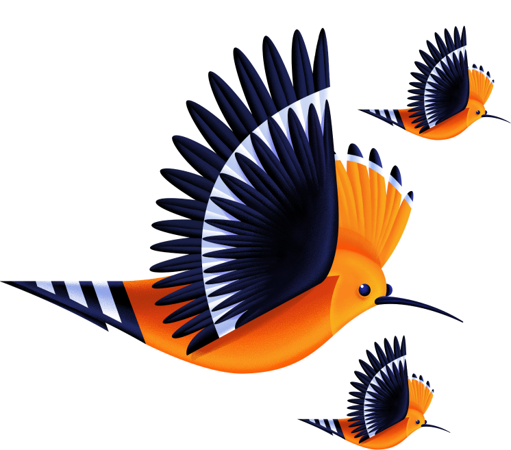 Community of hoopo birds