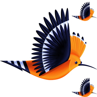 Community of hoopo birds