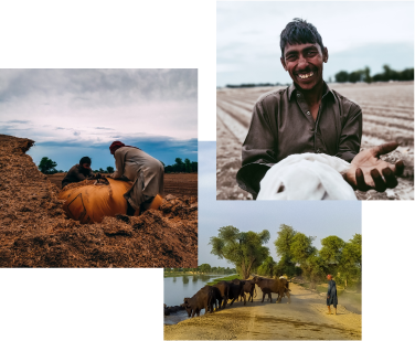 Hoopo farmers happy working