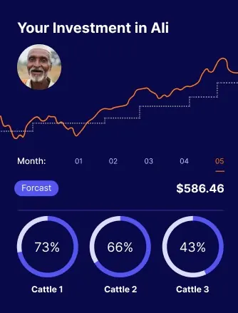 Investor portal showing a cattle cycle's forecast and weight-gain progress