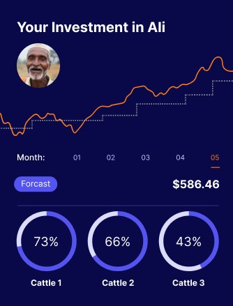 Your investment dashboard