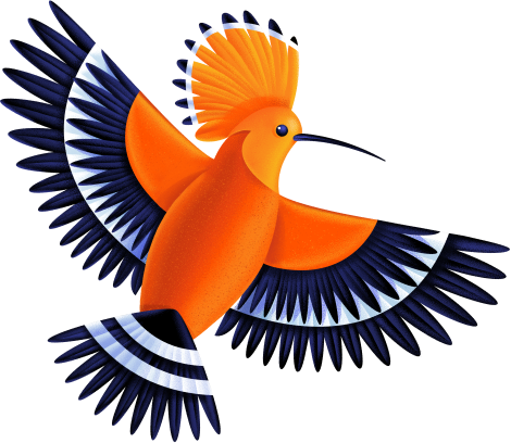 Hoopo bird tilted